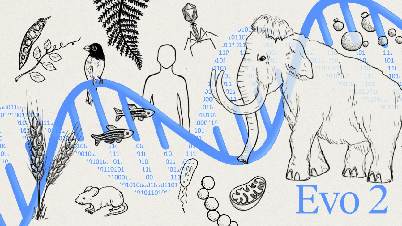 Una-IA-entrenada-con-128-000-especies-permite-disenar-genomas-o-predecir-enfermedades.png